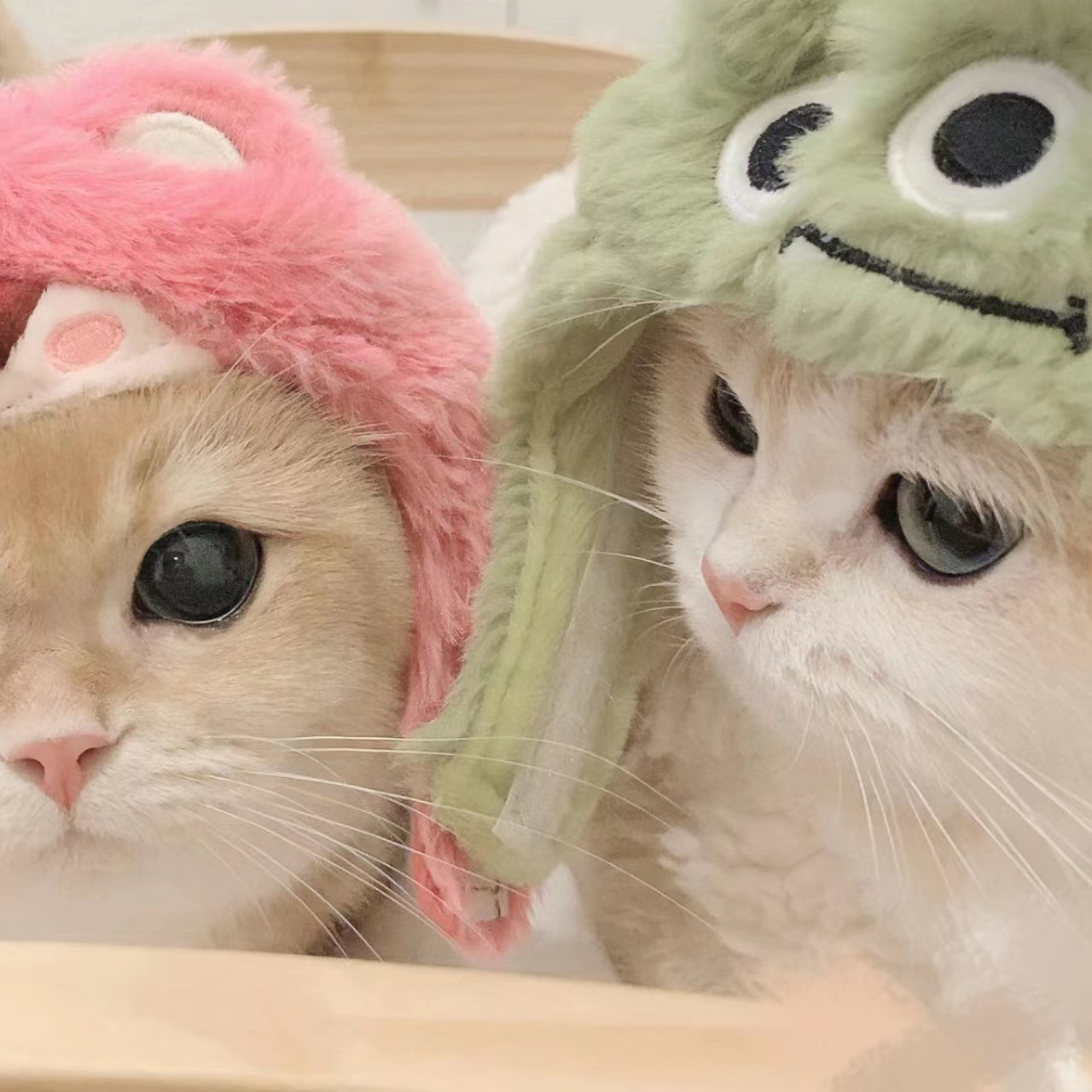榴莲视频APP